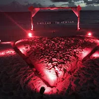 T-Killah — Ты Нежная — обложка